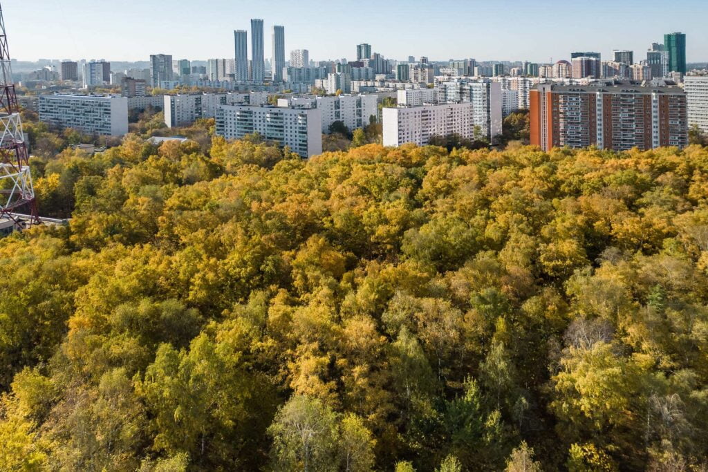 Октябрьское радиополе рядом с ЖК Серебряный парк